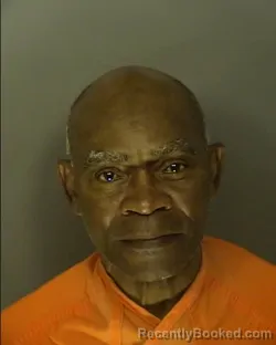 Mugshot of STEVE ANTHONY SALMON