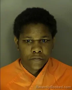 Booking photo from Horry County, South Carolina
