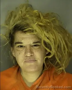 Mugshot of BRITTANY NICOLE VERA