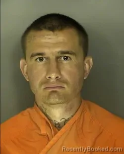 Mugshot of BRANDON MICHAEL LEE