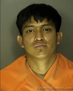 Booking photo from Horry County, South Carolina