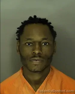 Booking photo from Horry County, South Carolina