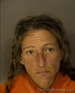 Booking photo from Horry County, South Carolina