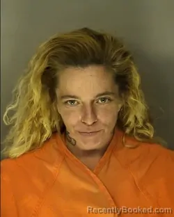 Booking photo from Horry County, South Carolina