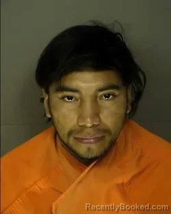 Booking photo from Horry County, South Carolina