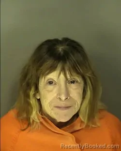 Booking photo from Horry County, South Carolina