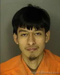 Mugshot of MEYSER GABRIEL CAAL CACAO