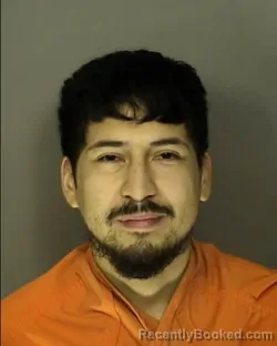 Mugshot of GERZON MOISES LAINEZ