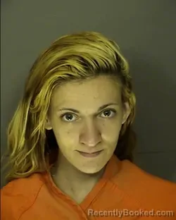 Booking photo from Horry County, South Carolina