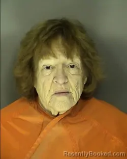 Mugshot of SHERYL ELIZABETH ALLEN