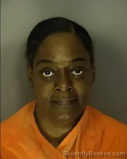 Mugshot of HIAWATHA JANE JOHNSON