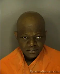 Mugshot of DEBBIE MELINDA SPAIN