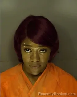 Mugshot of SHAKERIA MYESHIA BELLAMY