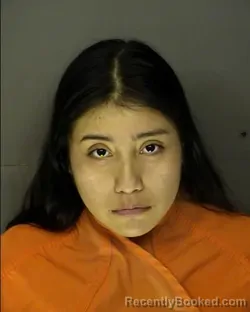 Mugshot of KAREN ONELI DIAZ BRAVO