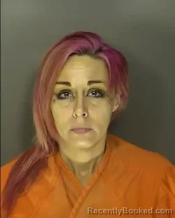 Mugshot of MALLERI BETH VAIL