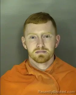 Mugshot of CIAN DAVID GORMLEY