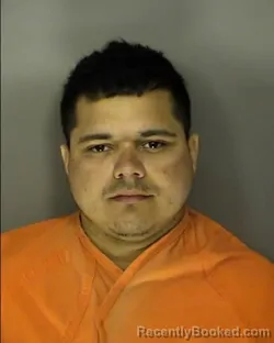 Mugshot of ELVIS GERARDO RODRIGUEZ ESTRADO