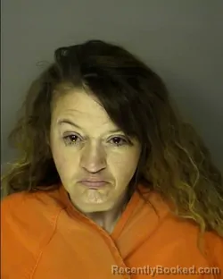 Mugshot of HEATHER CAROL RENEE WALSH