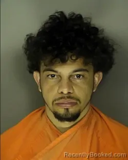 Mugshot of MICHEL BRASILEIRO ANTONIO ALVES