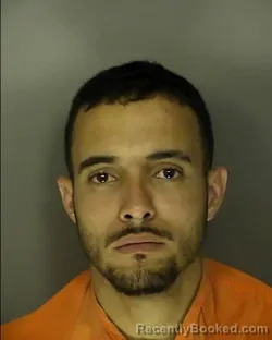 Mugshot of FELIPE AUGUSTO RIBEIRO-PEREIRA