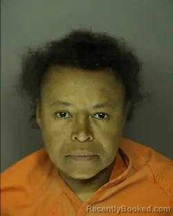 Mugshot of ELIZABETH ELAINE WILLIAMSON