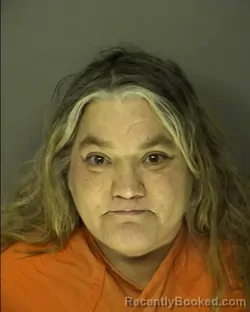 Mugshot of MIRANDA DAWN KAISK