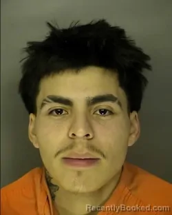 Mugshot of RICARDO JR CUEVAS