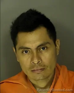 Mugshot of ROBILIO TOME-FIALLOS