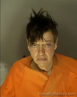 Mugshot of JONI PATRICK SLOTNICK