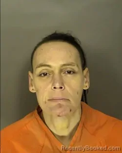 Mugshot of NICHOLE LYNN WHITE