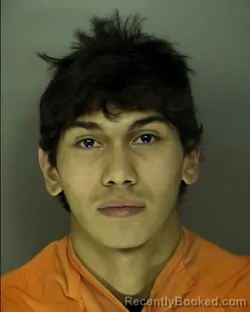 Mugshot of DANIEL CHASE HERRING booked in Horry County, South Carolina on March 6, 2026