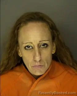 Mugshot of CRYSTAL NICOLE DRAKE booked in Horry County, South Carolina on March 6, 2026