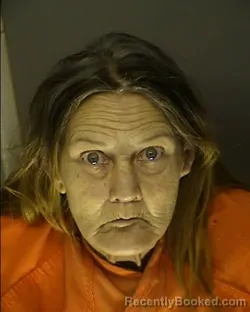 Mugshot of PATRICIA DUKE JOHNSON booked in Horry County, South Carolina on March 6, 2026