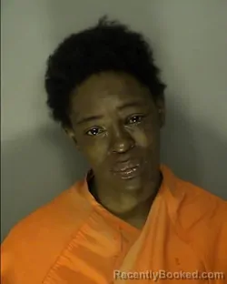 Mugshot of SHANA QWNISHA HAM booked in Horry County, South Carolina on March 7, 2026