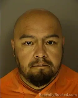 Mugshot of DAVID LOPEZ ROMERO