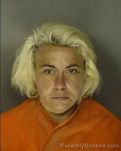 Mugshot of KRYSTAL LYNNETTE WHEELER booked in Horry County, South Carolina on March 16, 2026