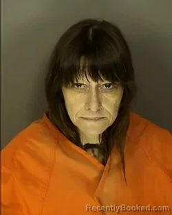 Mugshot of JESSICA LYNN SILLS