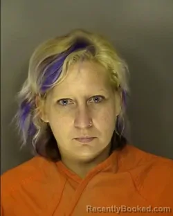 Mugshot of JORDAN ADELINE LUDLAM booked in Horry County, South Carolina on March 17, 2026