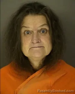 Mugshot of JACQUELYN SHEILA LAWSON booked in Horry County, South Carolina on March 17, 2026