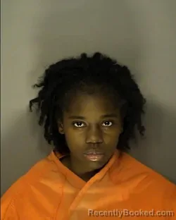 Mugshot of SKI JAH SHAMARIA DRAYTON booked in Horry County, South Carolina on March 17, 2026