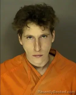 Mugshot of LUCUS FORD booked in Horry County, South Carolina on March 18, 2026