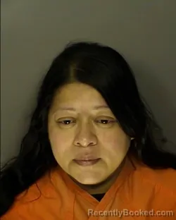 Mugshot of SANDRA LIZZETH BARDALES MEJIA booked in Horry County, South Carolina on March 18, 2026