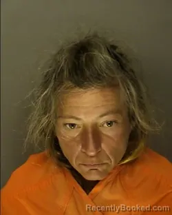 Mugshot of SHANNON MARIE REED booked in Horry County, South Carolina on March 18, 2026