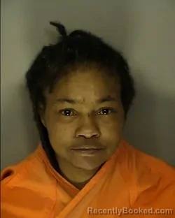 Mugshot of YOLANDA ANN REAVES booked in Horry County, South Carolina on March 18, 2026
