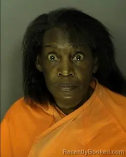 Mugshot of AUDREY DENISE GRATE booked in Horry County, South Carolina on March 19, 2026