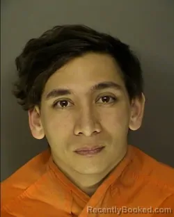 Mugshot of AUSTIN GRANT CHAU TRINH booked in Horry County, South Carolina on March 20, 2026