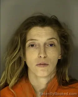 Mugshot of CHARLEY PAIGE CLEMMONS booked in Horry County, South Carolina on March 20, 2026