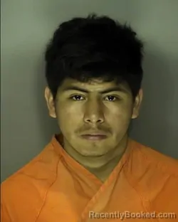 Mugshot of ELIVAR HERNANDEZ SANTES booked in Horry County, South Carolina on March 21, 2026