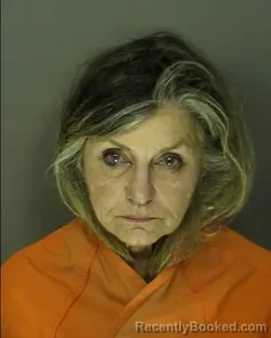 Mugshot of DIANNE MARIE NAUMIEC booked in Horry County, South Carolina on March 21, 2026
