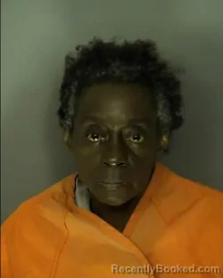 Mugshot of TERESA ANN BENNETT booked in Horry County, South Carolina on March 22, 2026